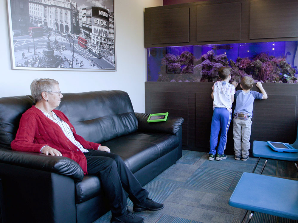 two young boys looking at the office's fish tank
